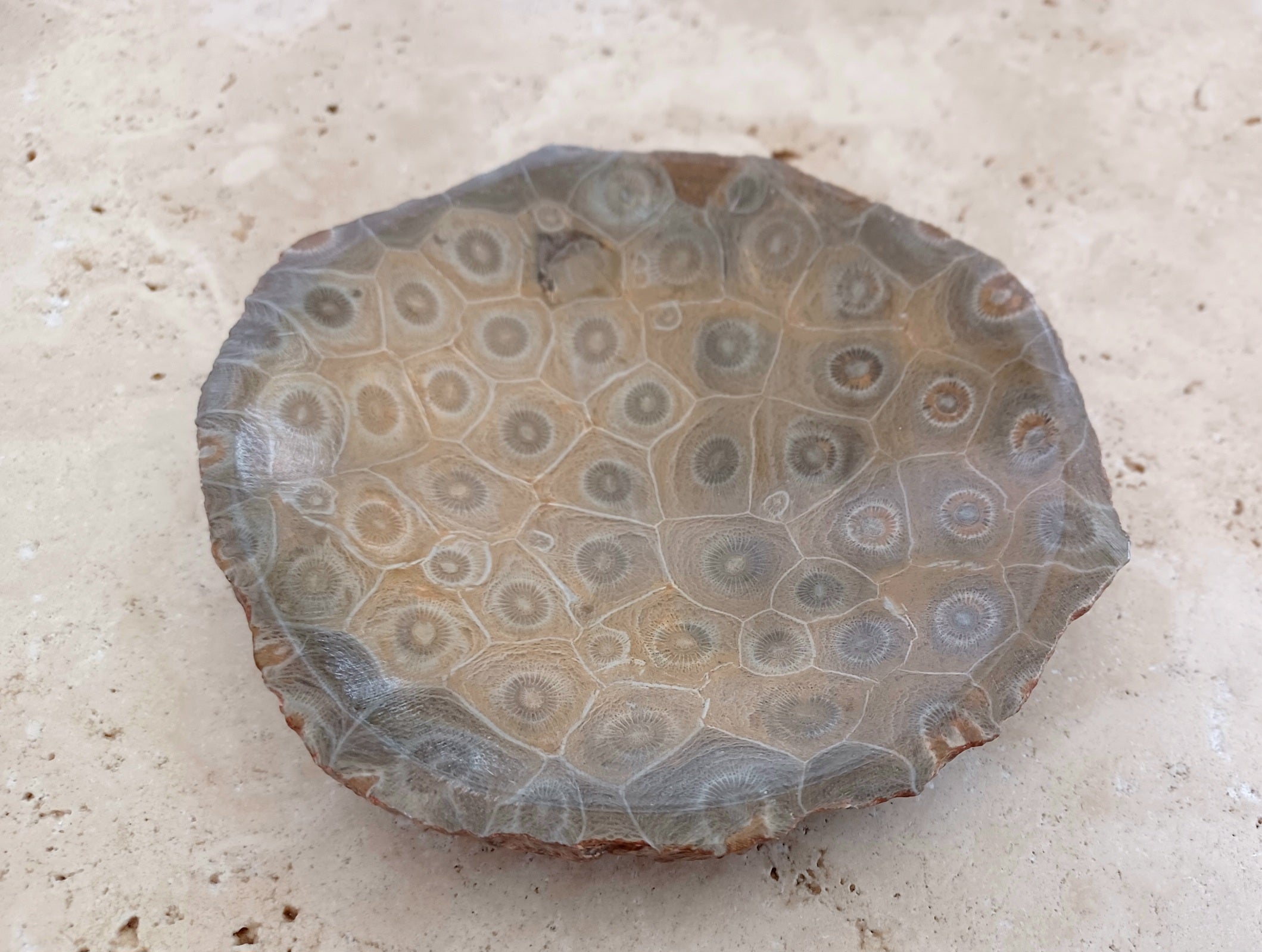 Fossile Korallen-Schale ...ein Hauch von Ozean – für deine stille Mitte.