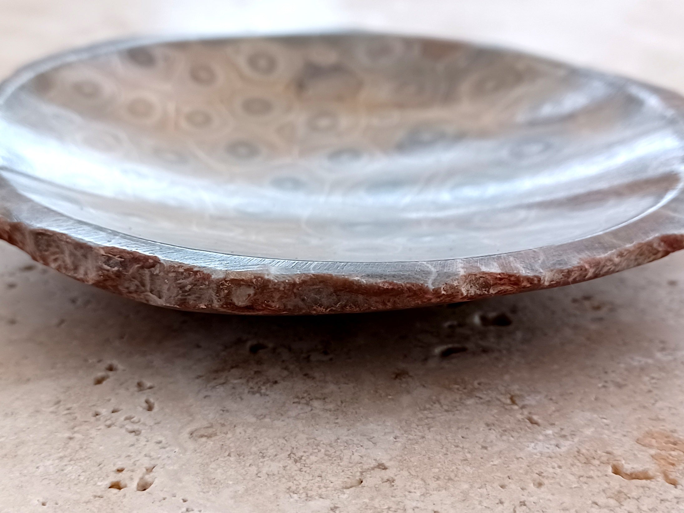 Fossile Korallen-Schale ...ein Hauch von Ozean – für deine stille Mitte.