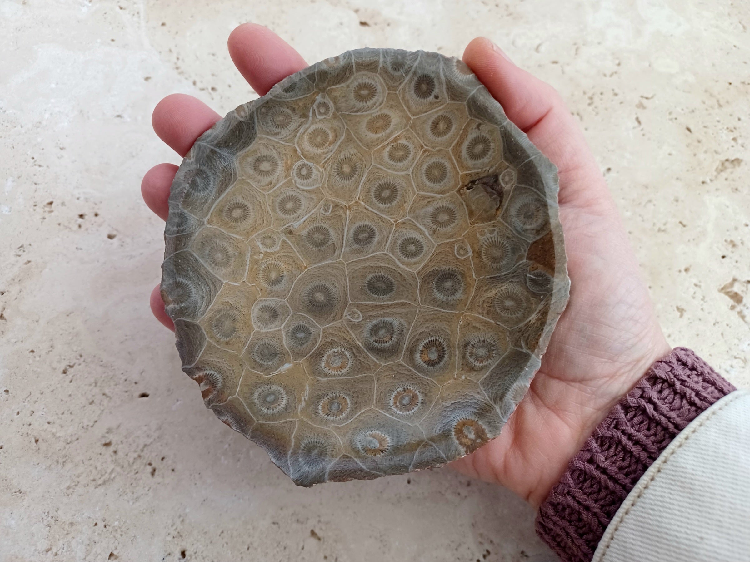 Fossile Korallen-Schale ...ein Hauch von Ozean – für deine stille Mitte.