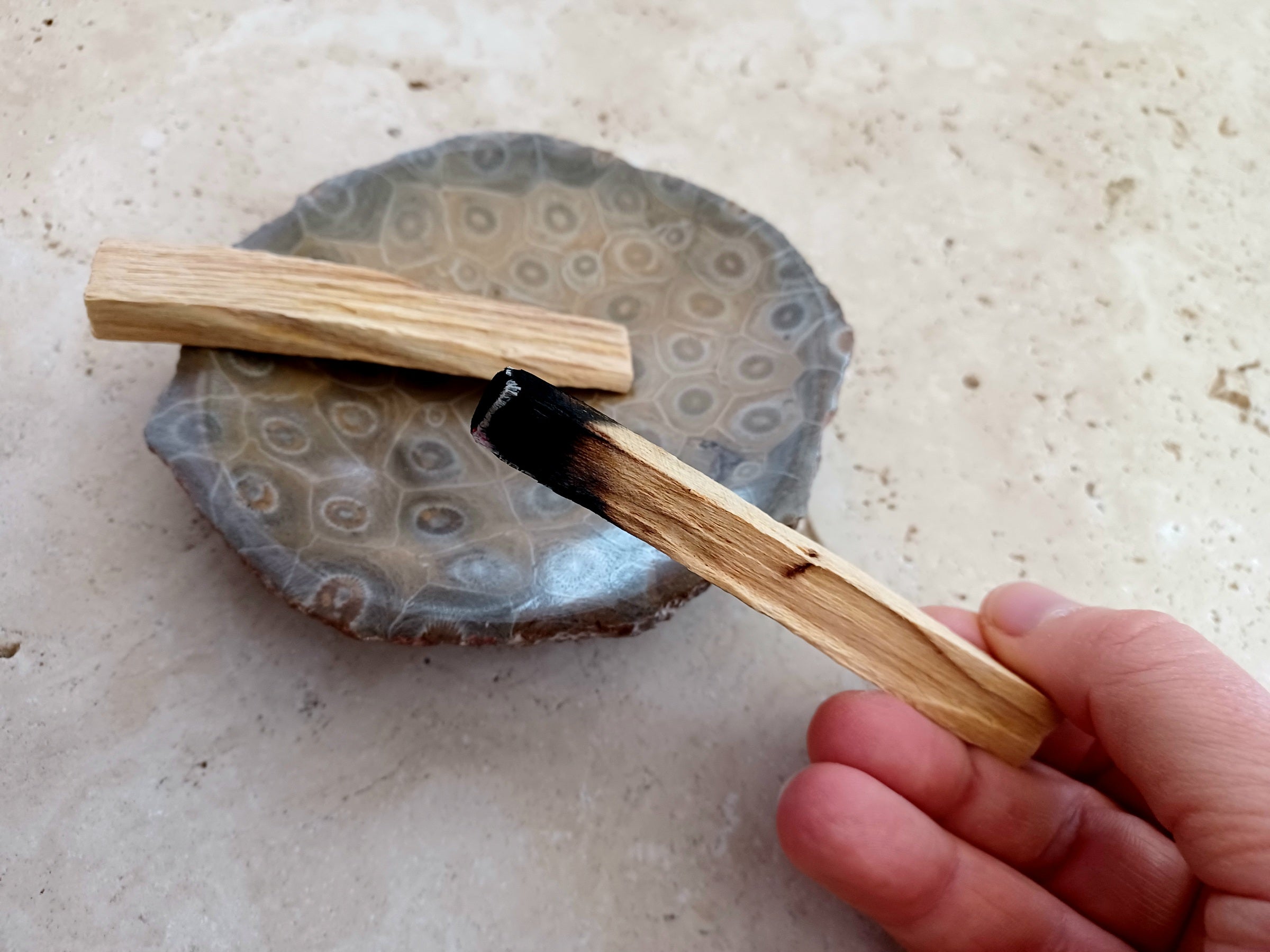 Fossile Korallen-Schale ...ein Hauch von Ozean – für deine stille Mitte.