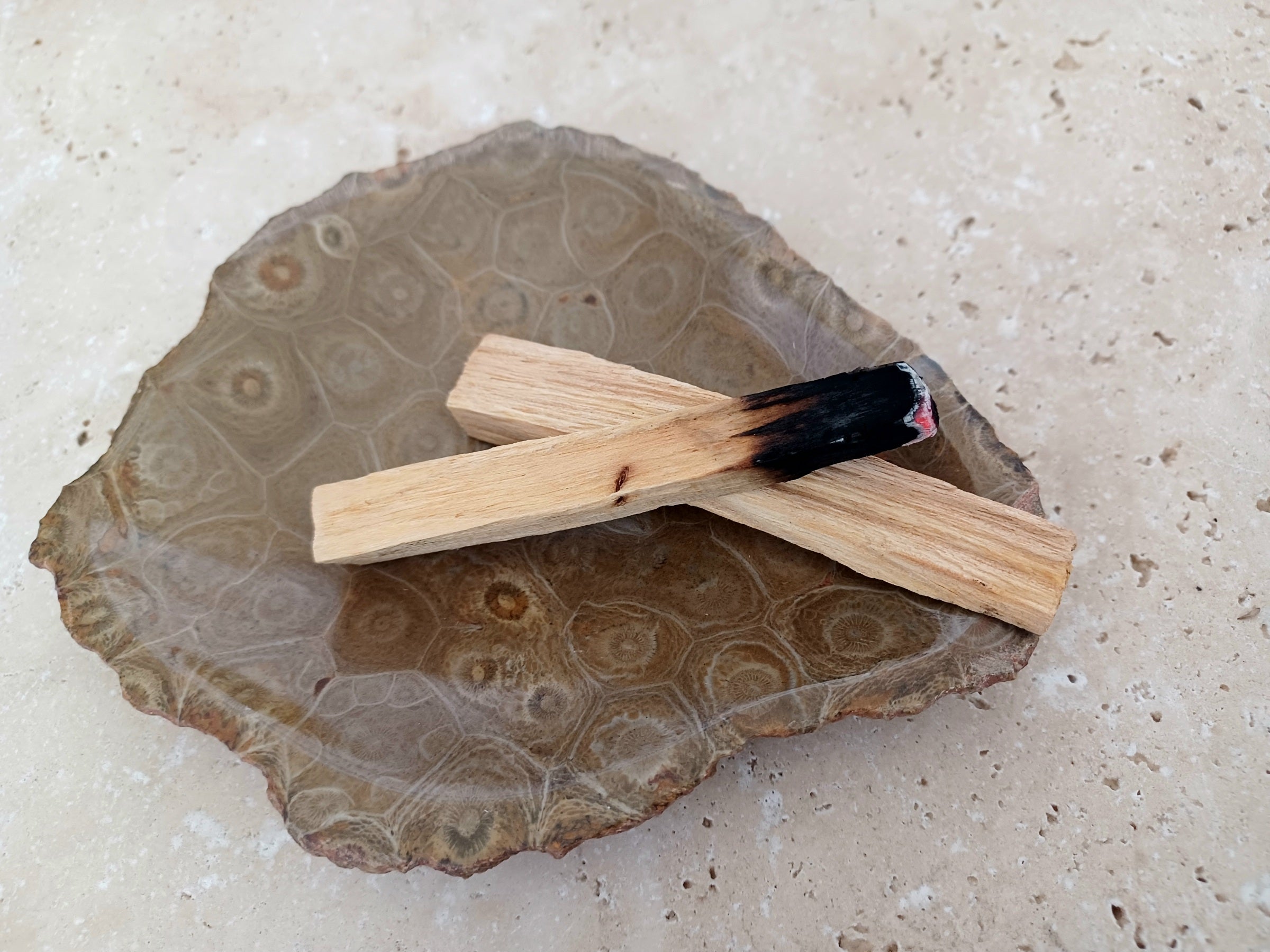 Fossile Korallen-Schale ...ein Hauch von Ozean – für deine stille Mitte.