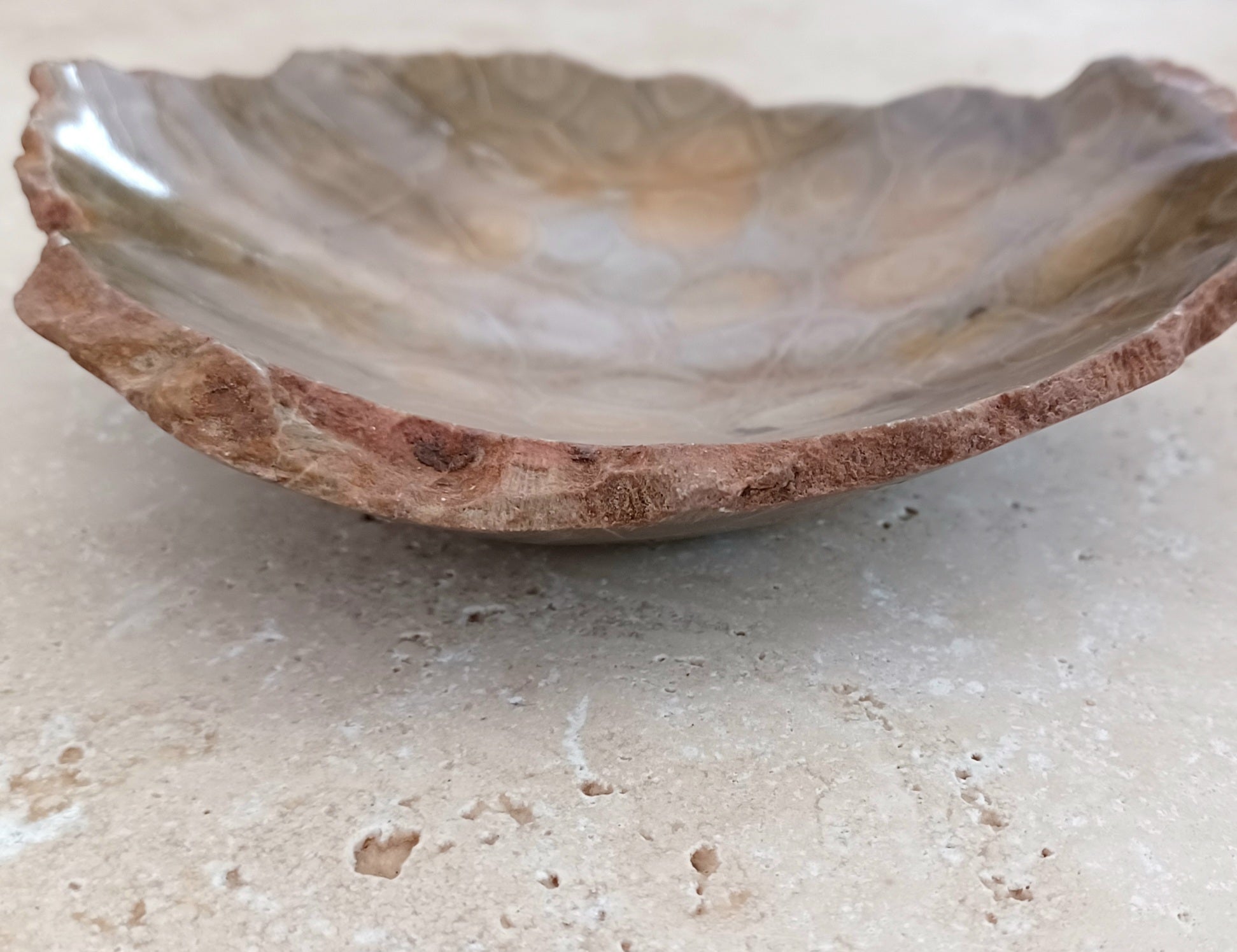 Fossile Korallen-Schale ...ein Hauch von Ozean – für deine stille Mitte.