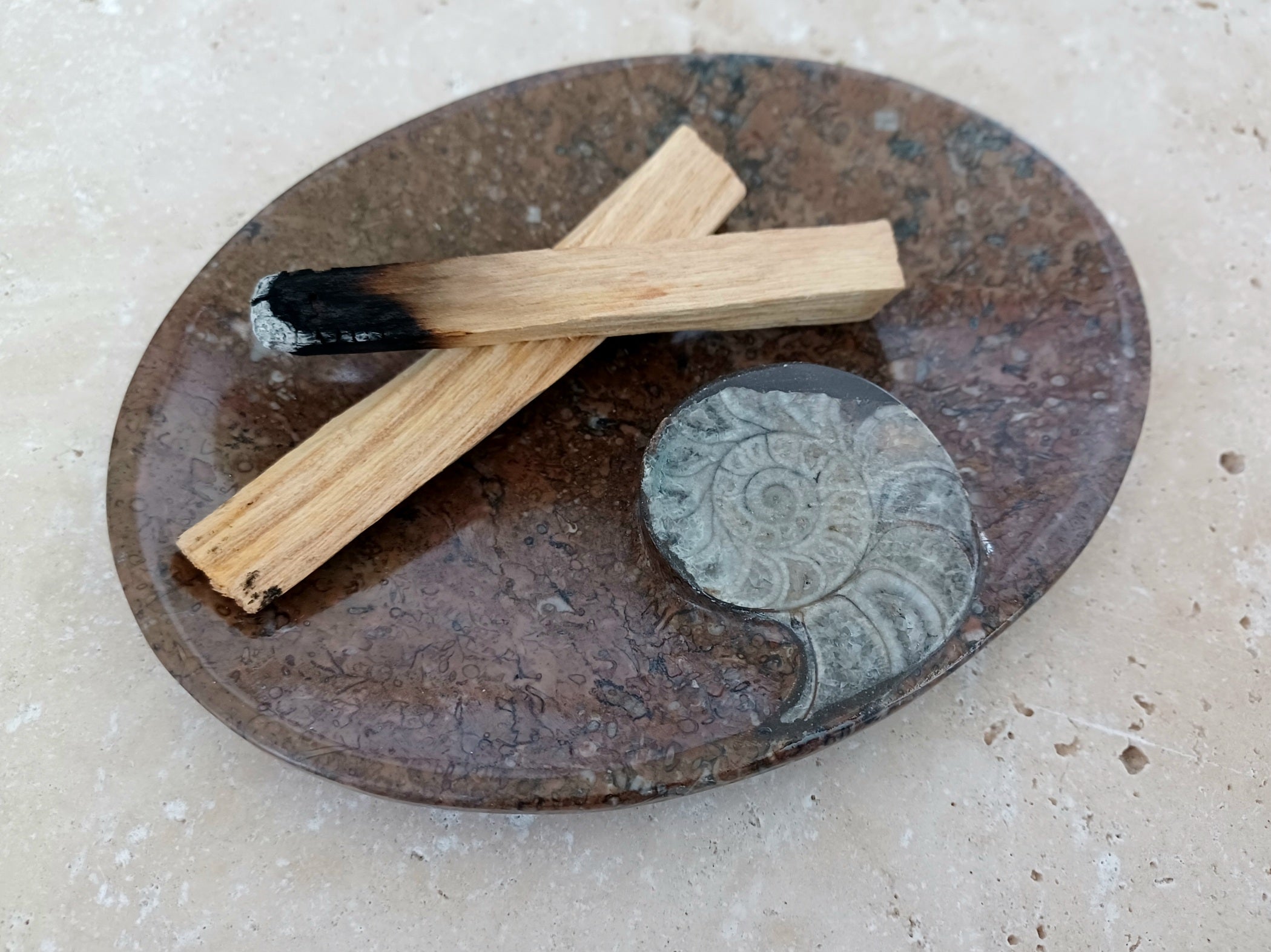 Ammonit-Schale "Erinnerung an Wandel – Symbol für Wachstum."