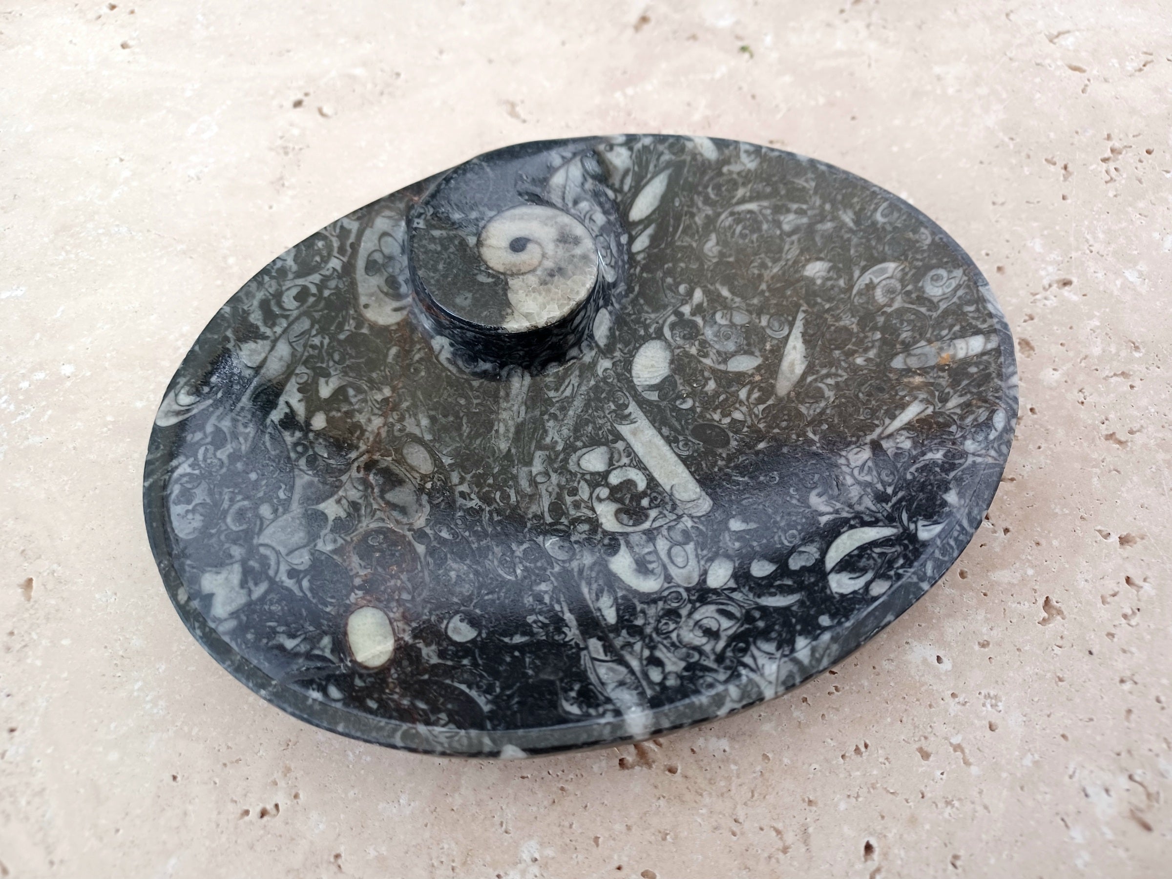 Ammonit-Schale "Erinnerung an Wandel – Symbol für Wachstum."