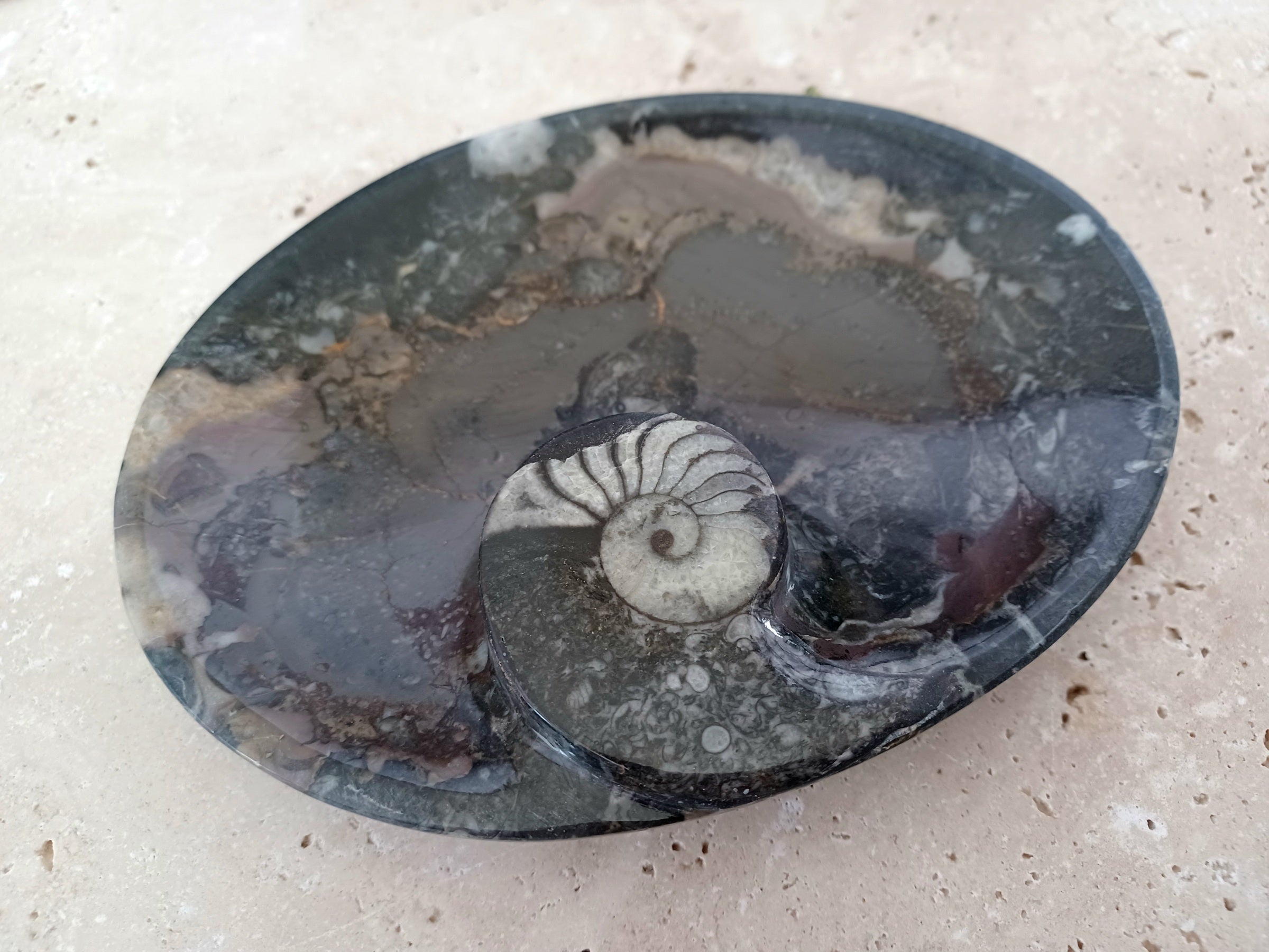 Ammonit-Schale "Erinnerung an Wandel – Symbol für Wachstum."