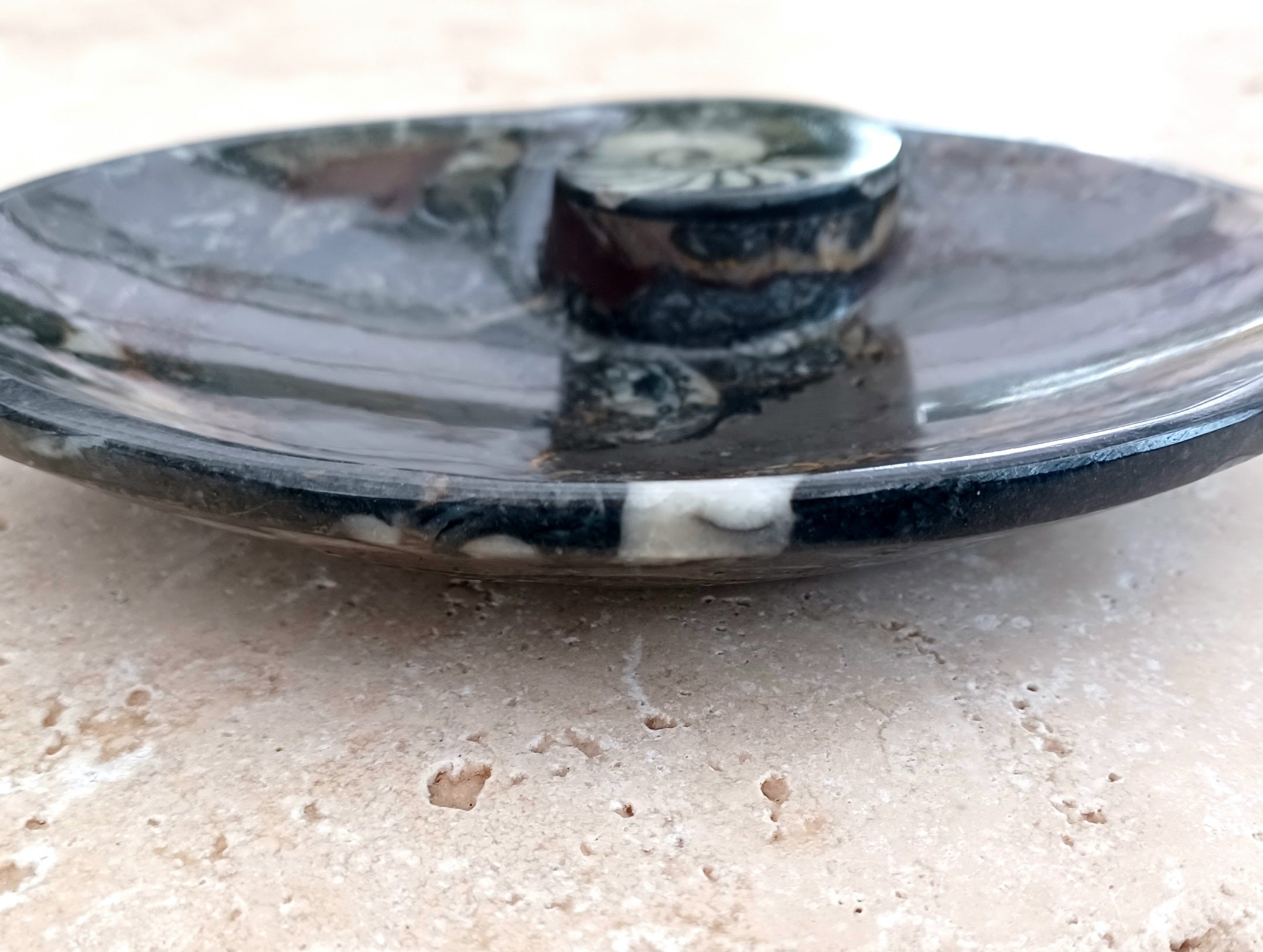 Ammonit-Schale "Erinnerung an Wandel – Symbol für Wachstum."