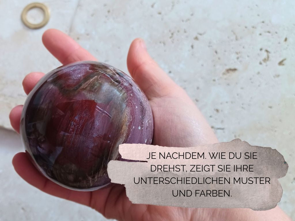 Versteinertes-Holz Kugel - Erdung und Geduld
