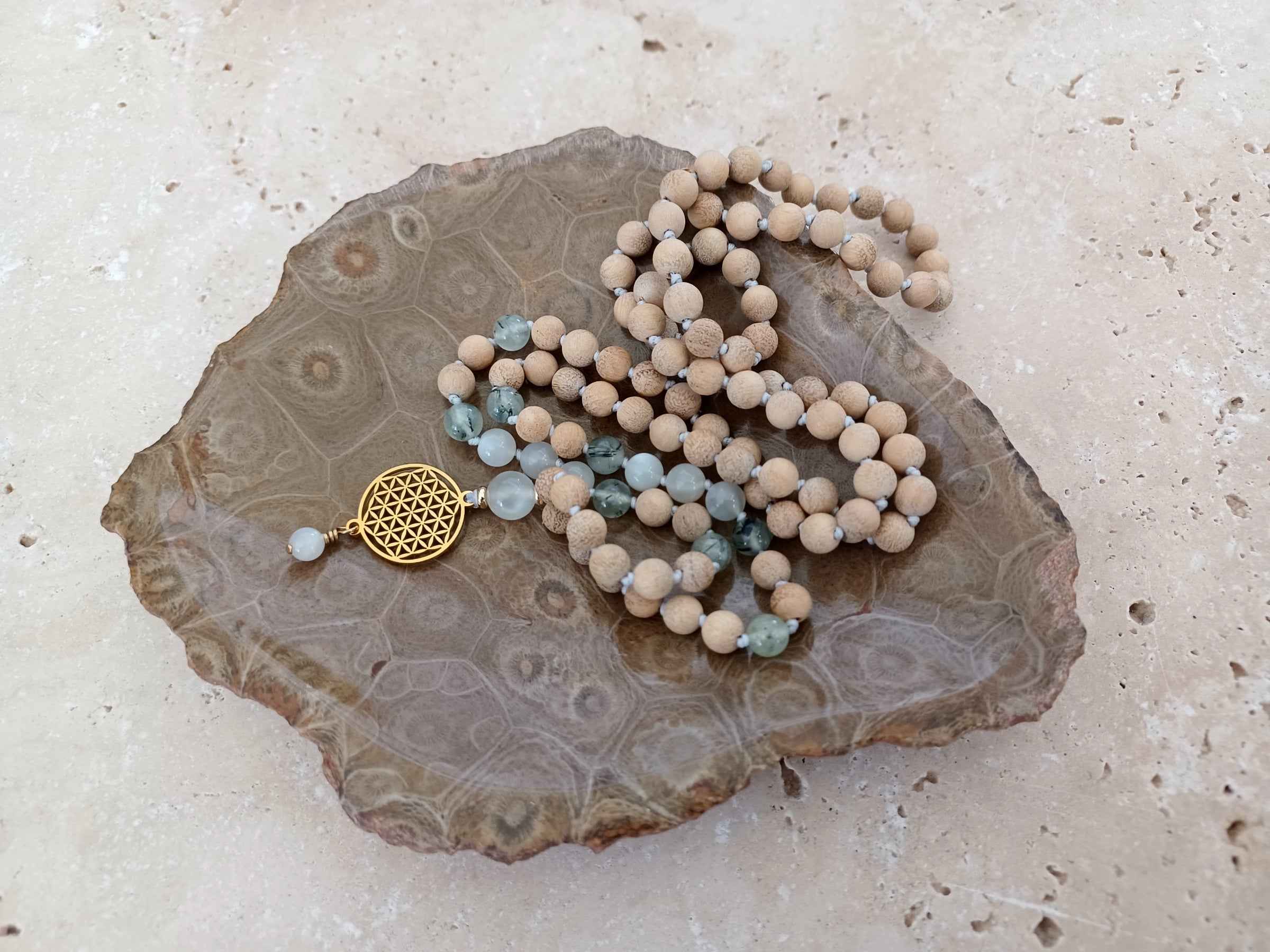 Fossile Korallen-Schale ...ein Hauch von Ozean – für deine stille Mitte. 