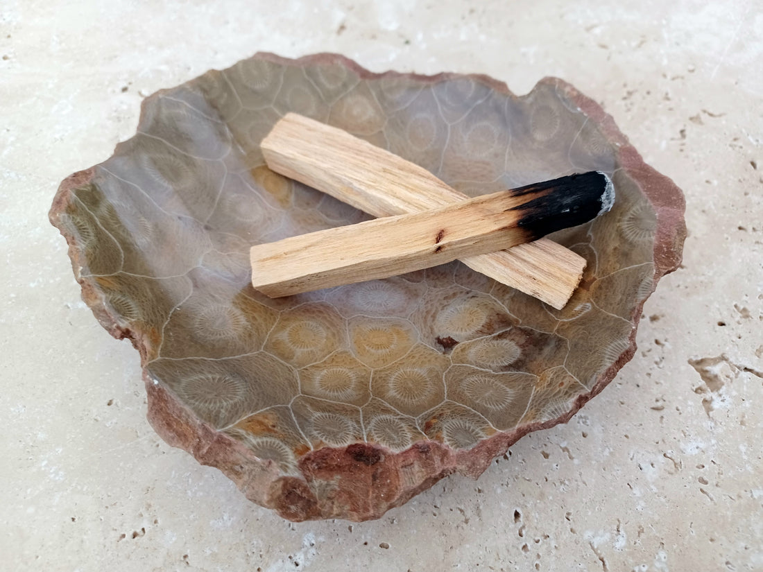 Fossile Korallen-Schale ...ein Hauch von Ozean – für deine stille Mitte.