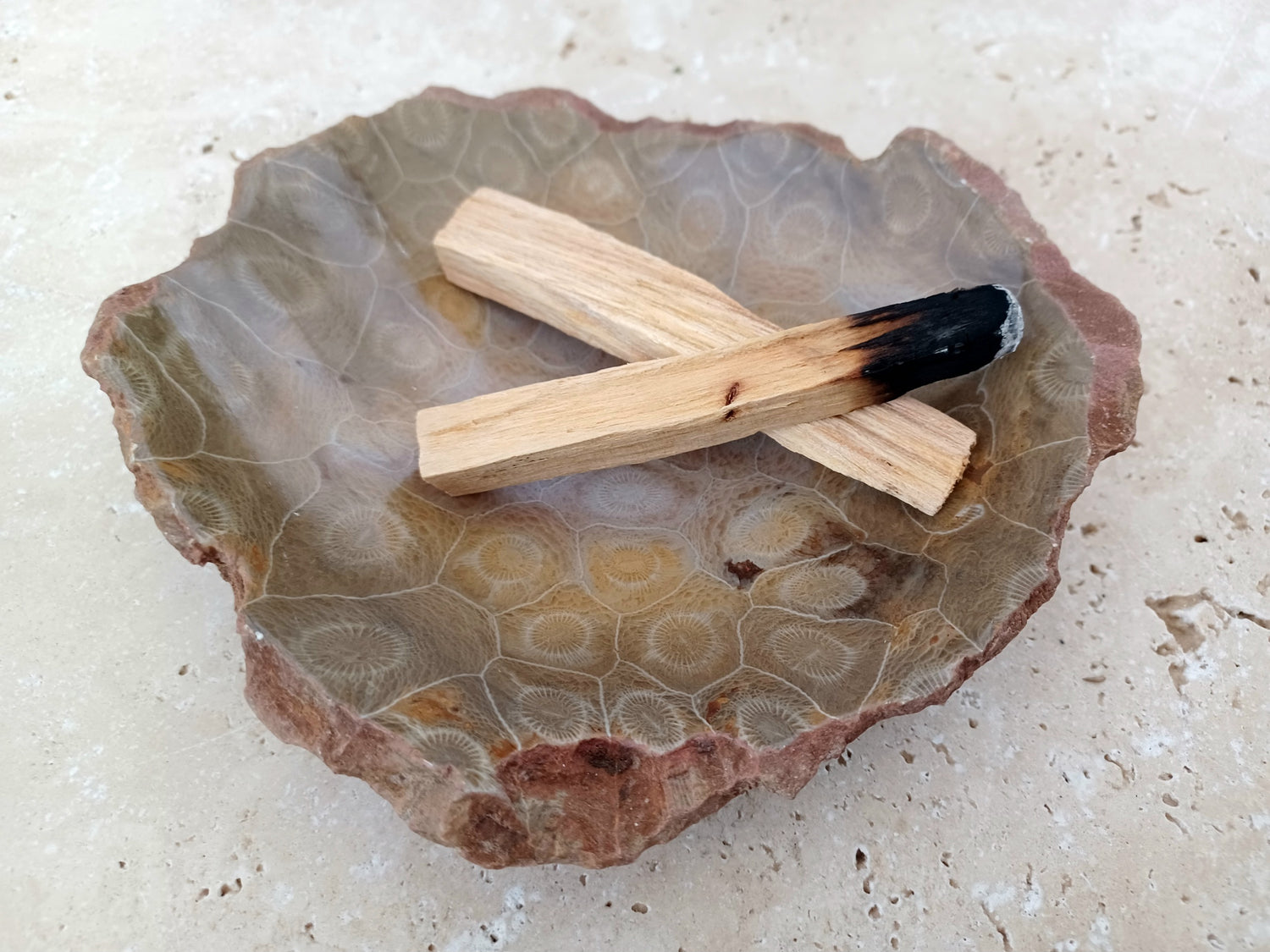 Fossile Korallen-Schale ...ein Hauch von Ozean – für deine stille Mitte. 