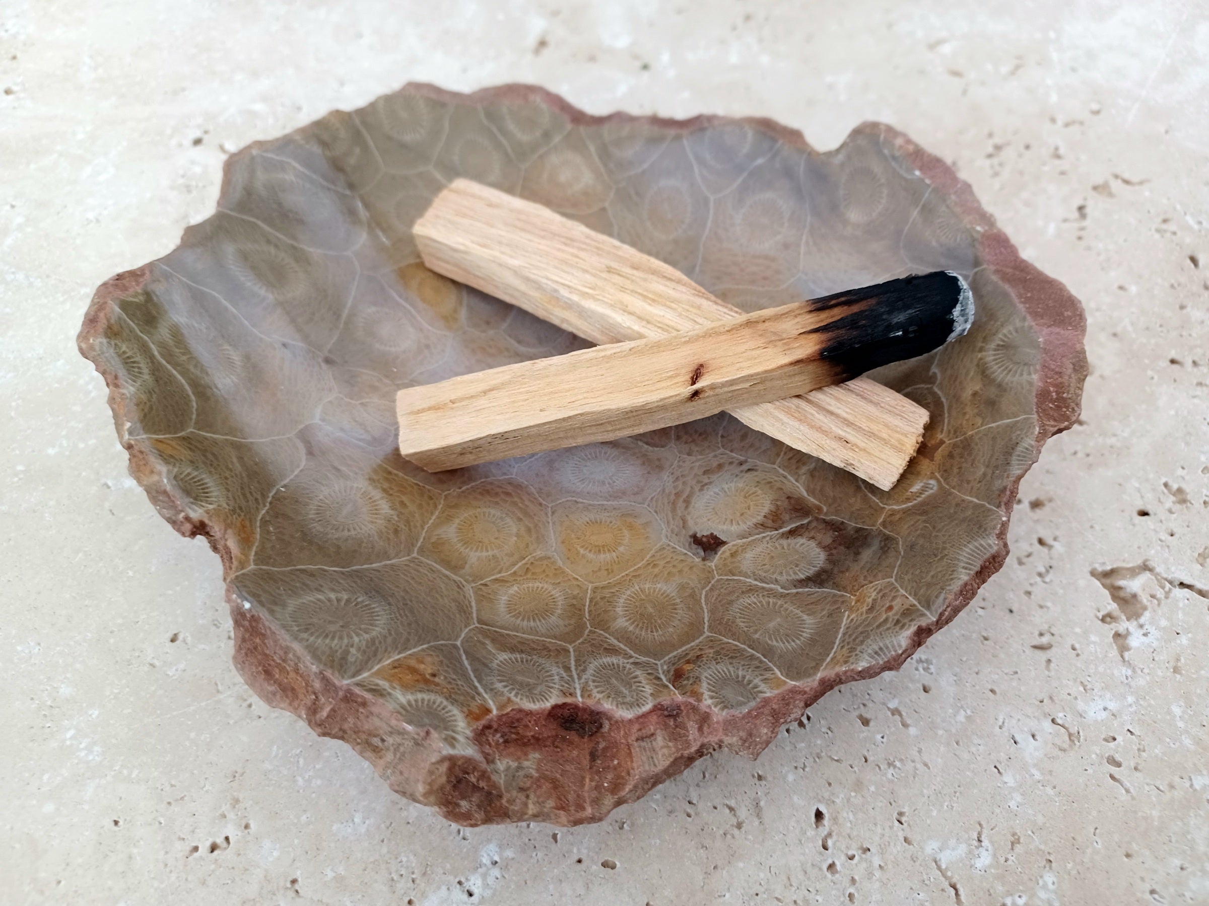 Fossile Korallen-Schale ...ein Hauch von Ozean – für deine stille Mitte. 