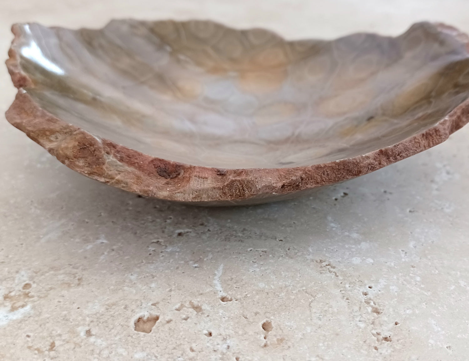 Fossile Korallen-Schale ...ein Hauch von Ozean – für deine stille Mitte. 