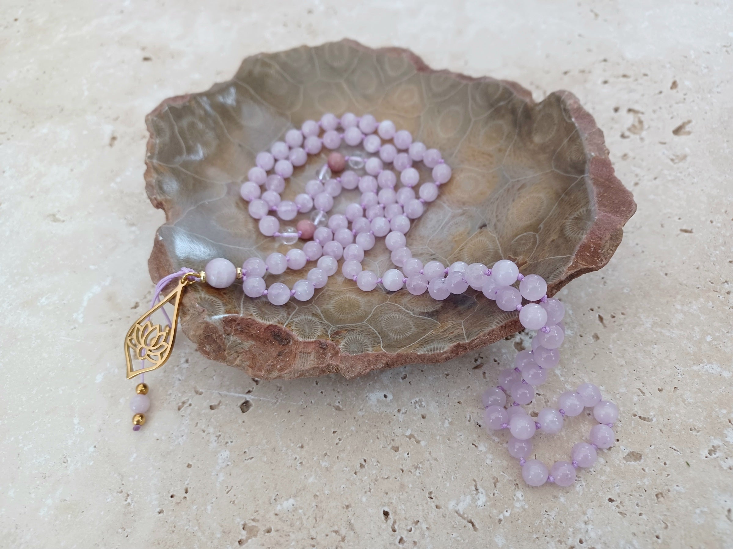 Fossile Korallen-Schale ...ein Hauch von Ozean – für deine stille Mitte. 