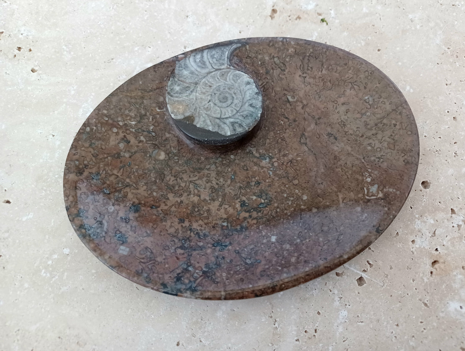 Ammonit-Schale  &quot;Erinnerung an Wandel – Symbol für Wachstum.&quot; 