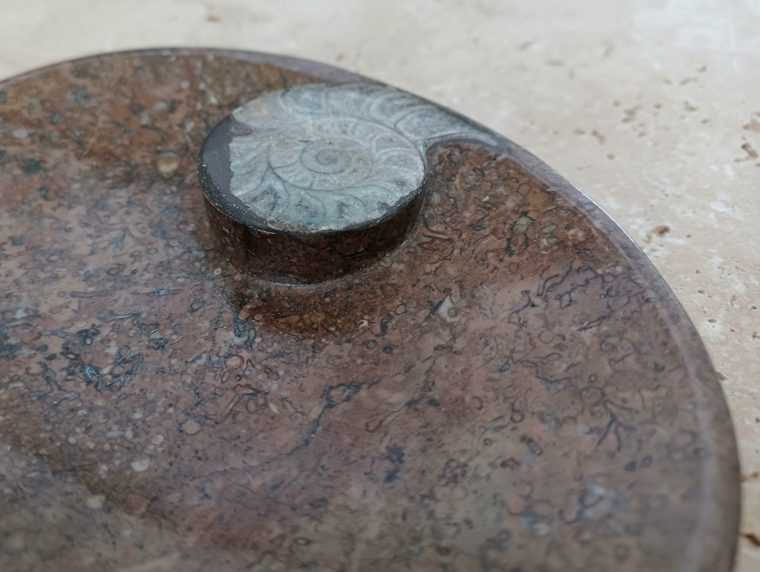 Ammonit-Schale  &quot;Erinnerung an Wandel – Symbol für Wachstum.&quot; 