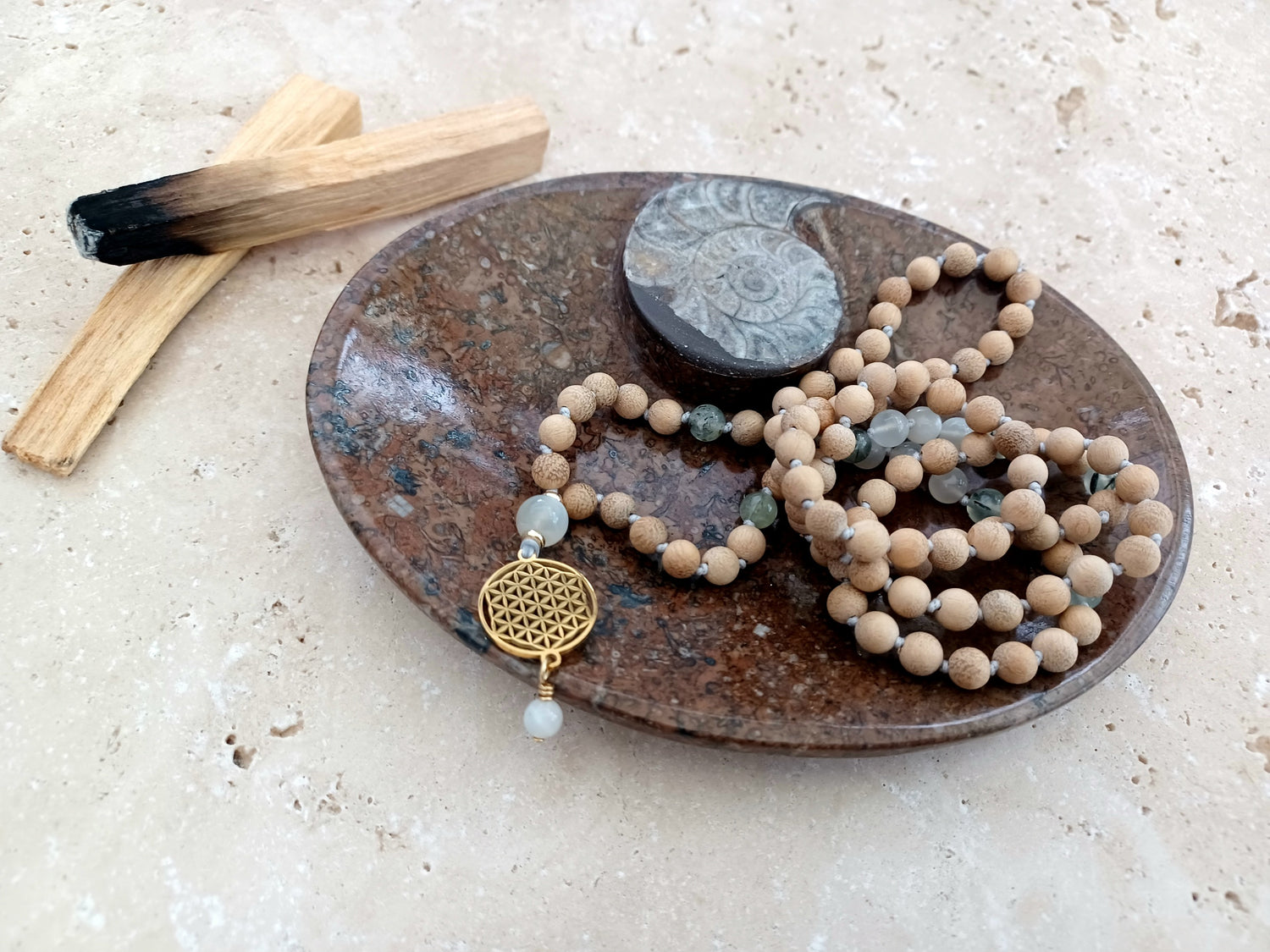 Ammonit-Schale  &quot;Erinnerung an Wandel – Symbol für Wachstum.&quot; 