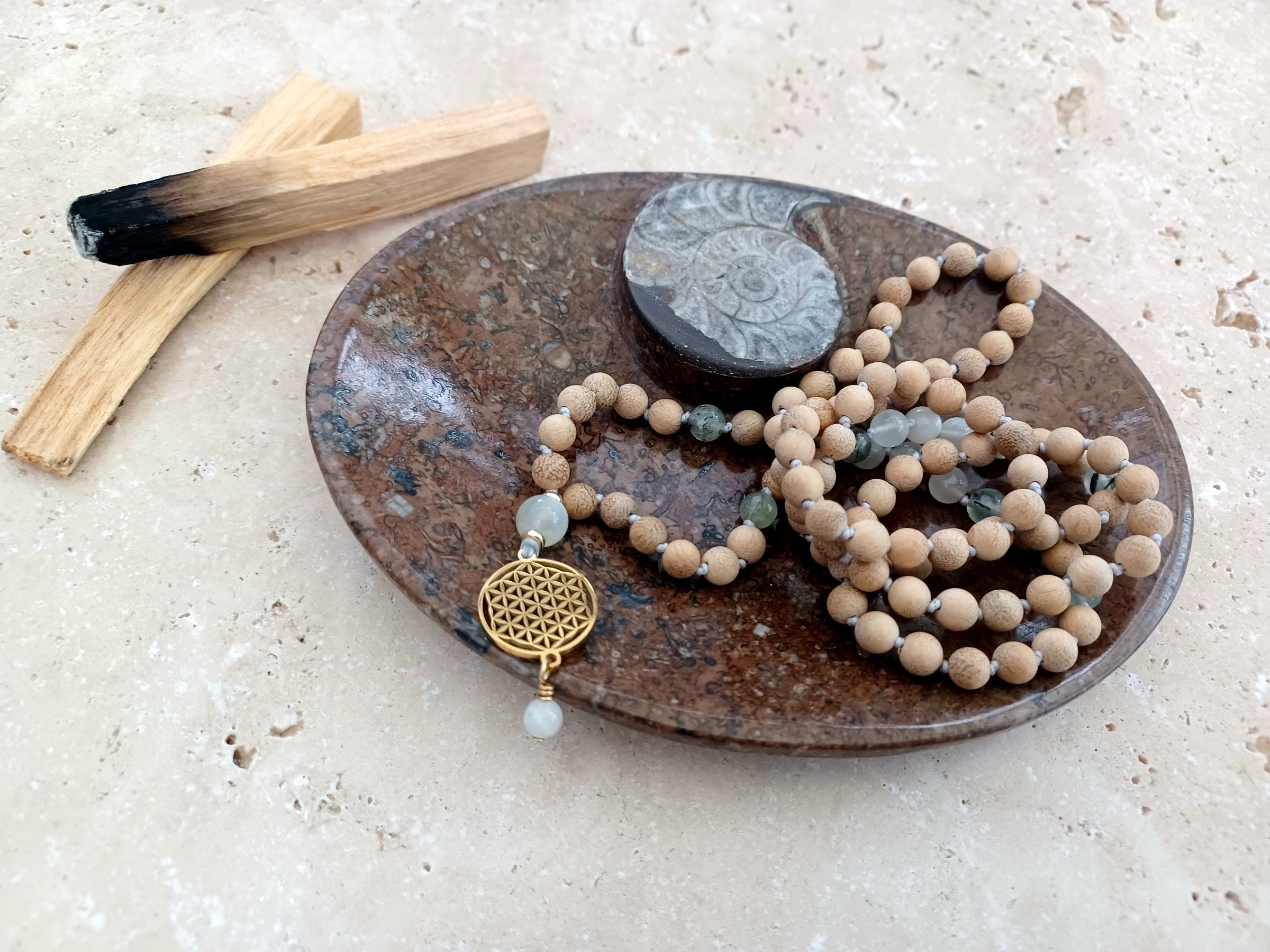 Ammonit-Schale  &quot;Erinnerung an Wandel – Symbol für Wachstum.&quot; 