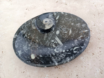 Ammonit-Schale  &quot;Erinnerung an Wandel – Symbol für Wachstum.&quot; 