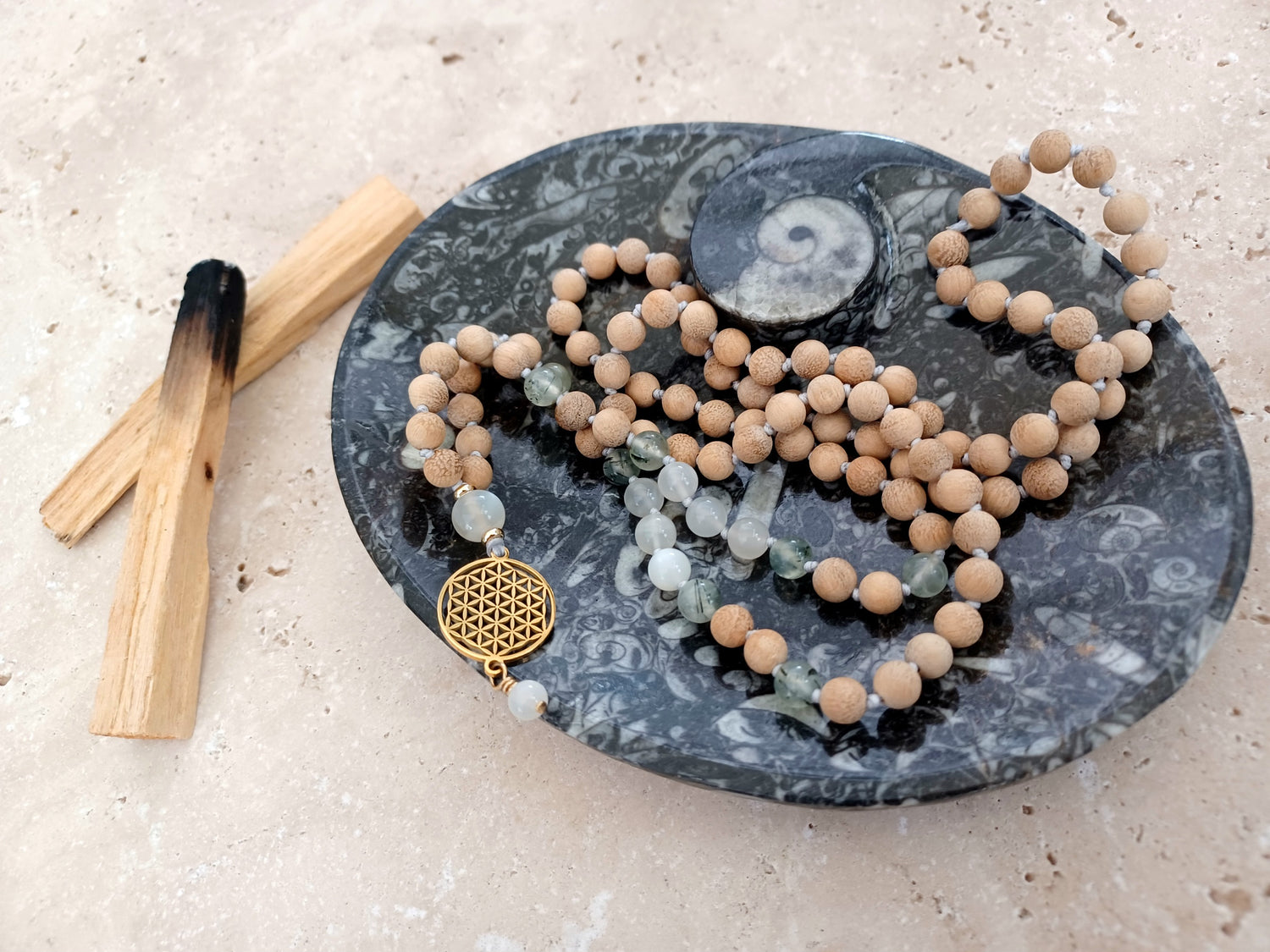 Ammonit-Schale  &quot;Erinnerung an Wandel – Symbol für Wachstum.&quot; 