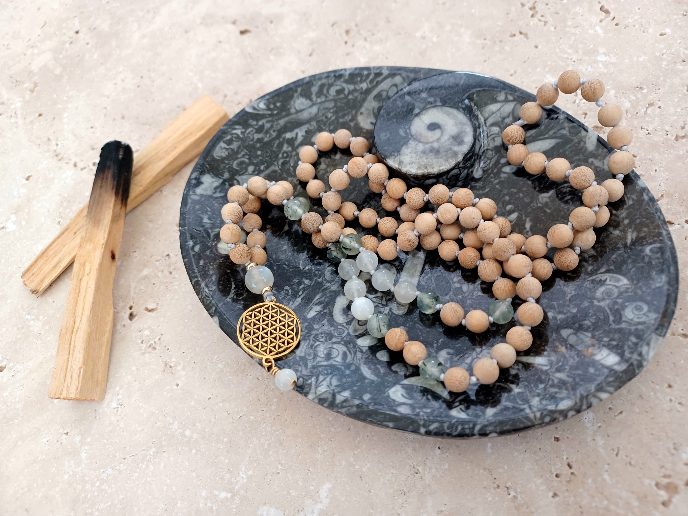 Ammonit-Schale  &quot;Erinnerung an Wandel – Symbol für Wachstum.&quot; 