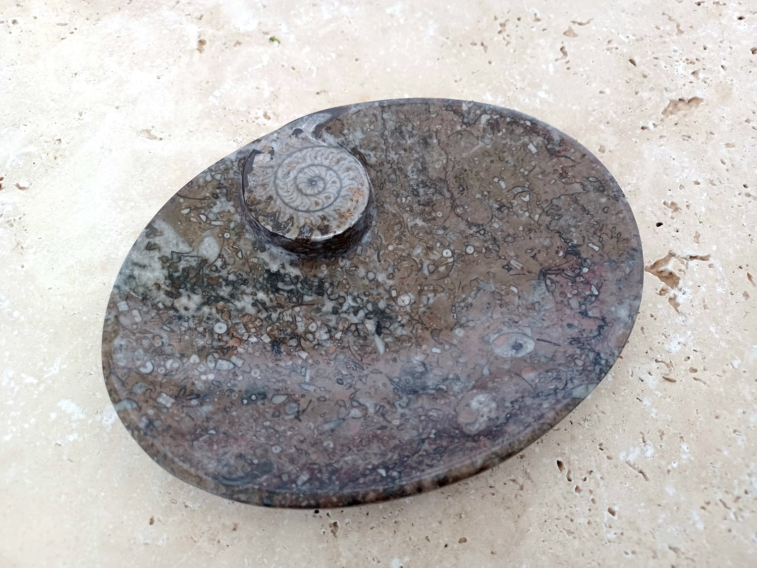 Ammonit-Schale  &quot;Erinnerung an Wandel – Symbol für Wachstum.&quot; 