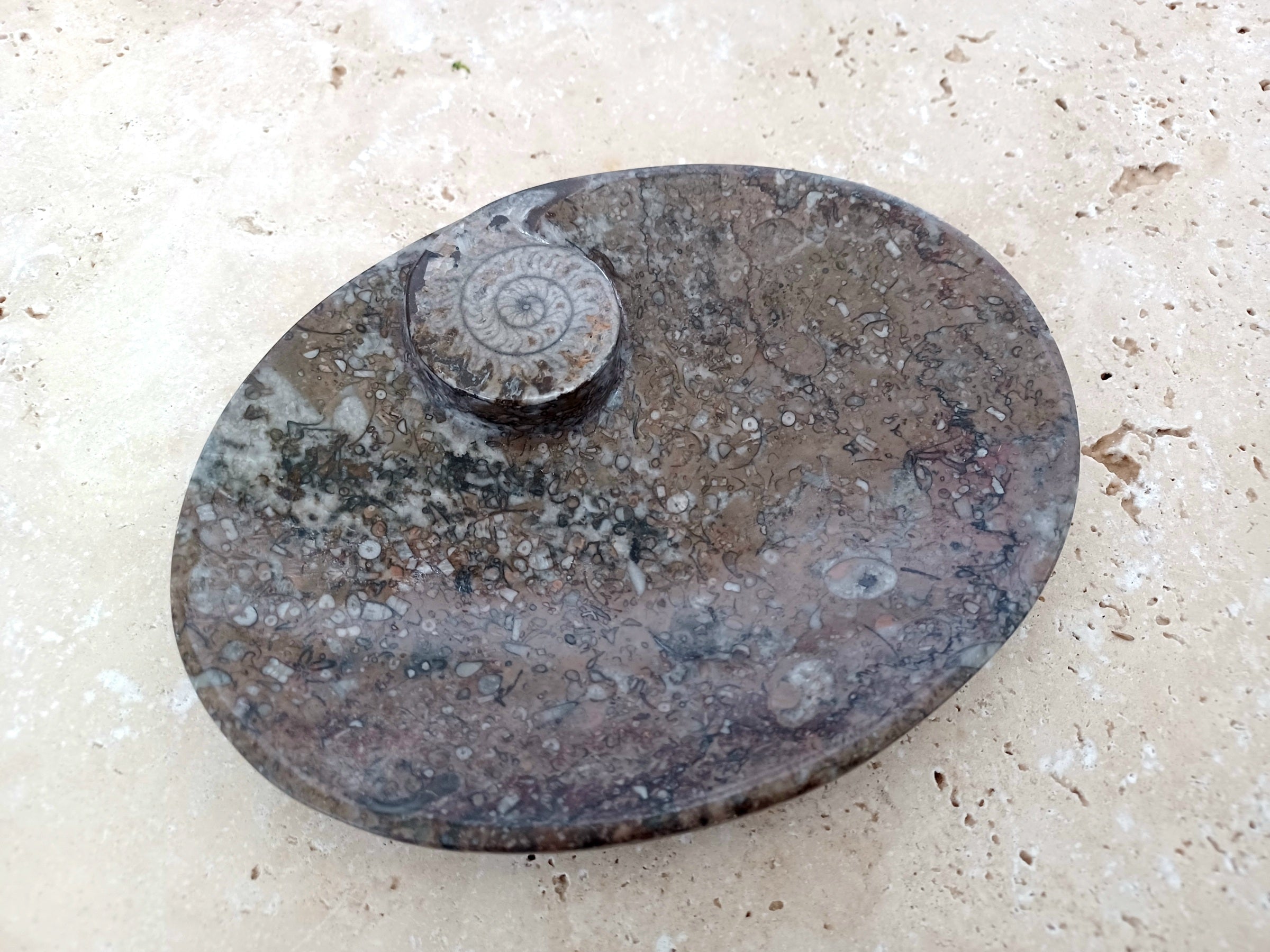 Ammonit-Schale  &quot;Erinnerung an Wandel – Symbol für Wachstum.&quot; 