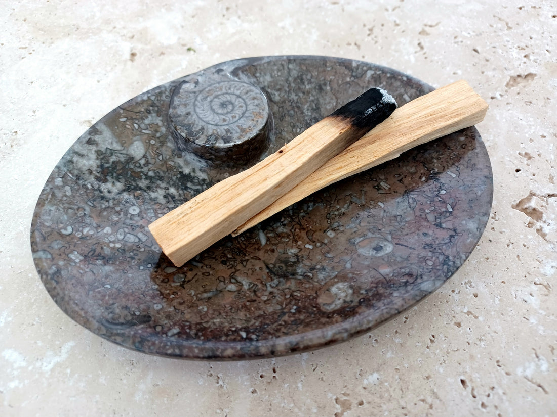 Ammonit-Schale  "Erinnerung an Wandel – Symbol für Wachstum."