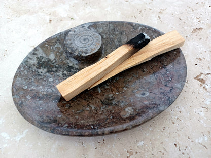 Ammonit-Schale  &quot;Erinnerung an Wandel – Symbol für Wachstum.&quot; 