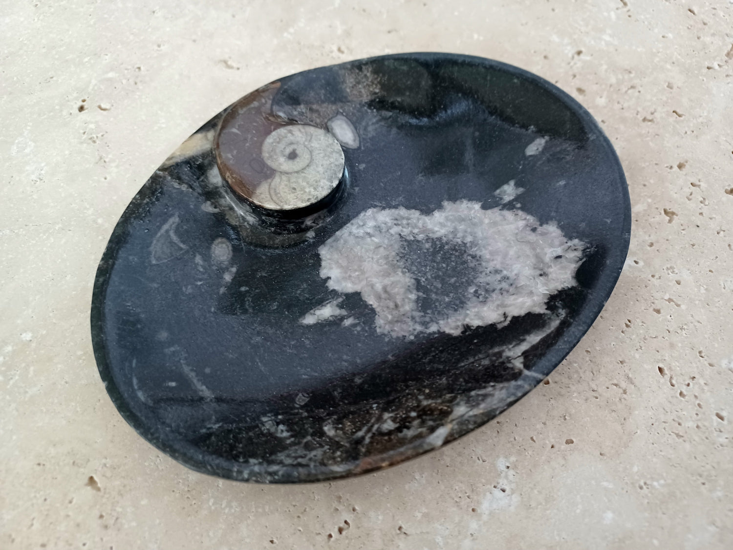 Ammonit-Schale  &quot;Erinnerung an Wandel – Symbol für Wachstum.&quot; 