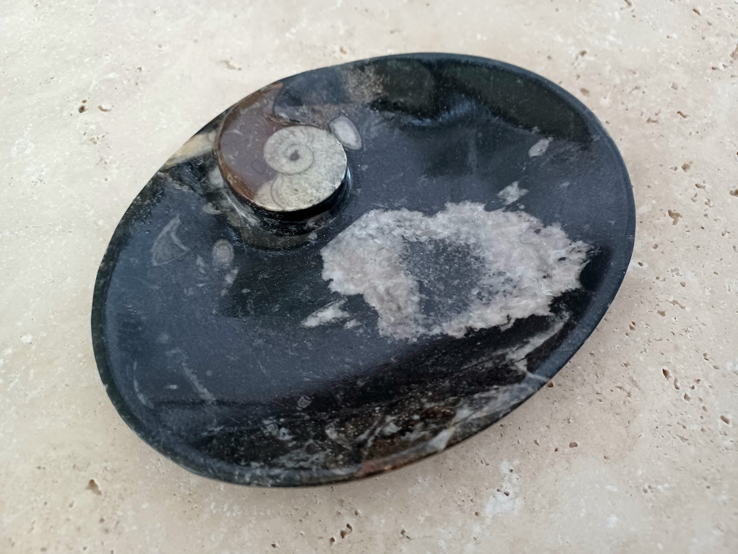 Ammonit-Schale  &quot;Erinnerung an Wandel – Symbol für Wachstum.&quot; 