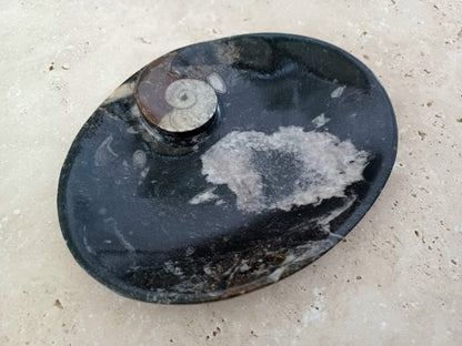 Ammonit-Schale  &quot;Erinnerung an Wandel – Symbol für Wachstum.&quot; 