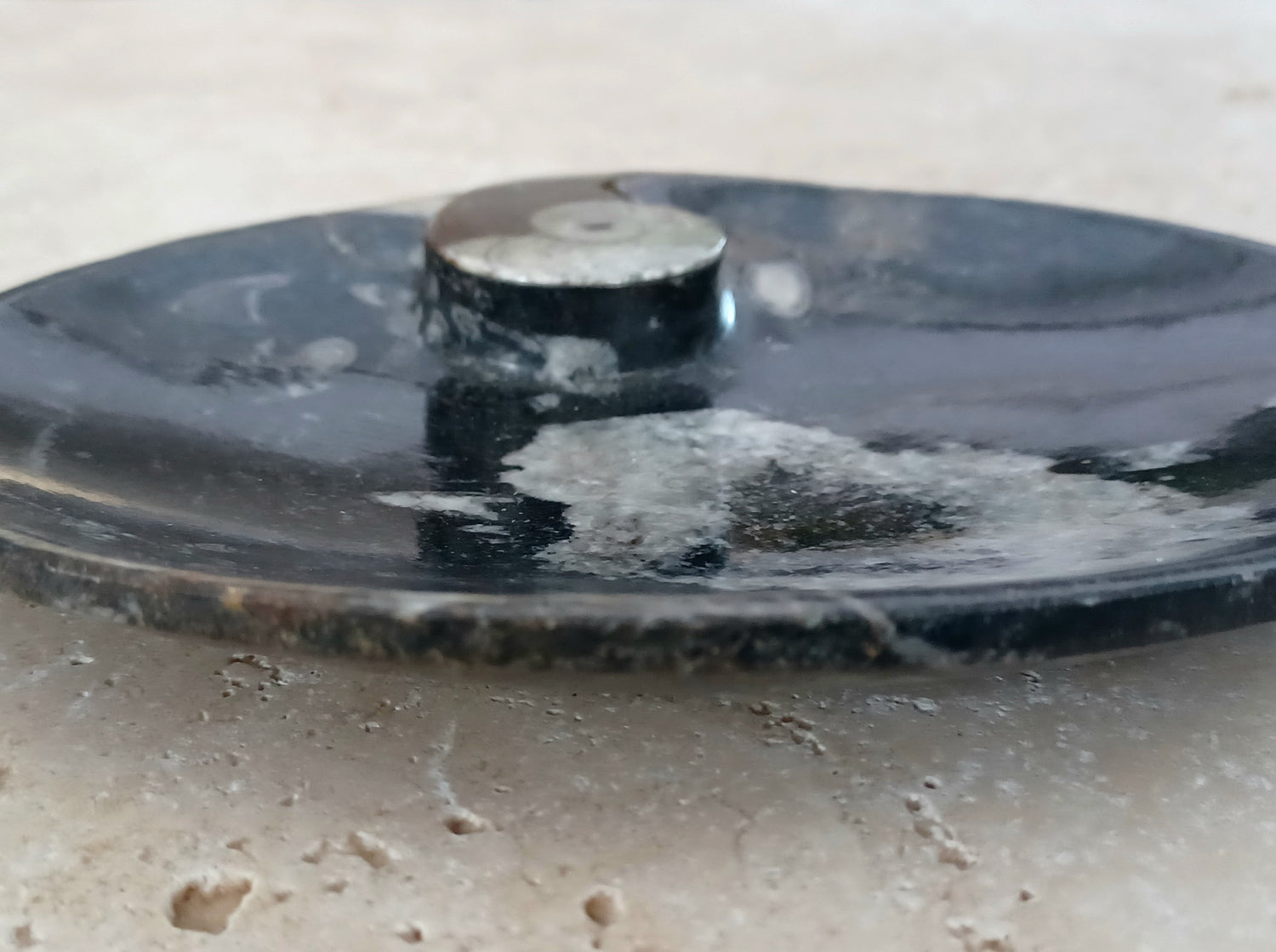 Ammonit-Schale  &quot;Erinnerung an Wandel – Symbol für Wachstum.&quot; 