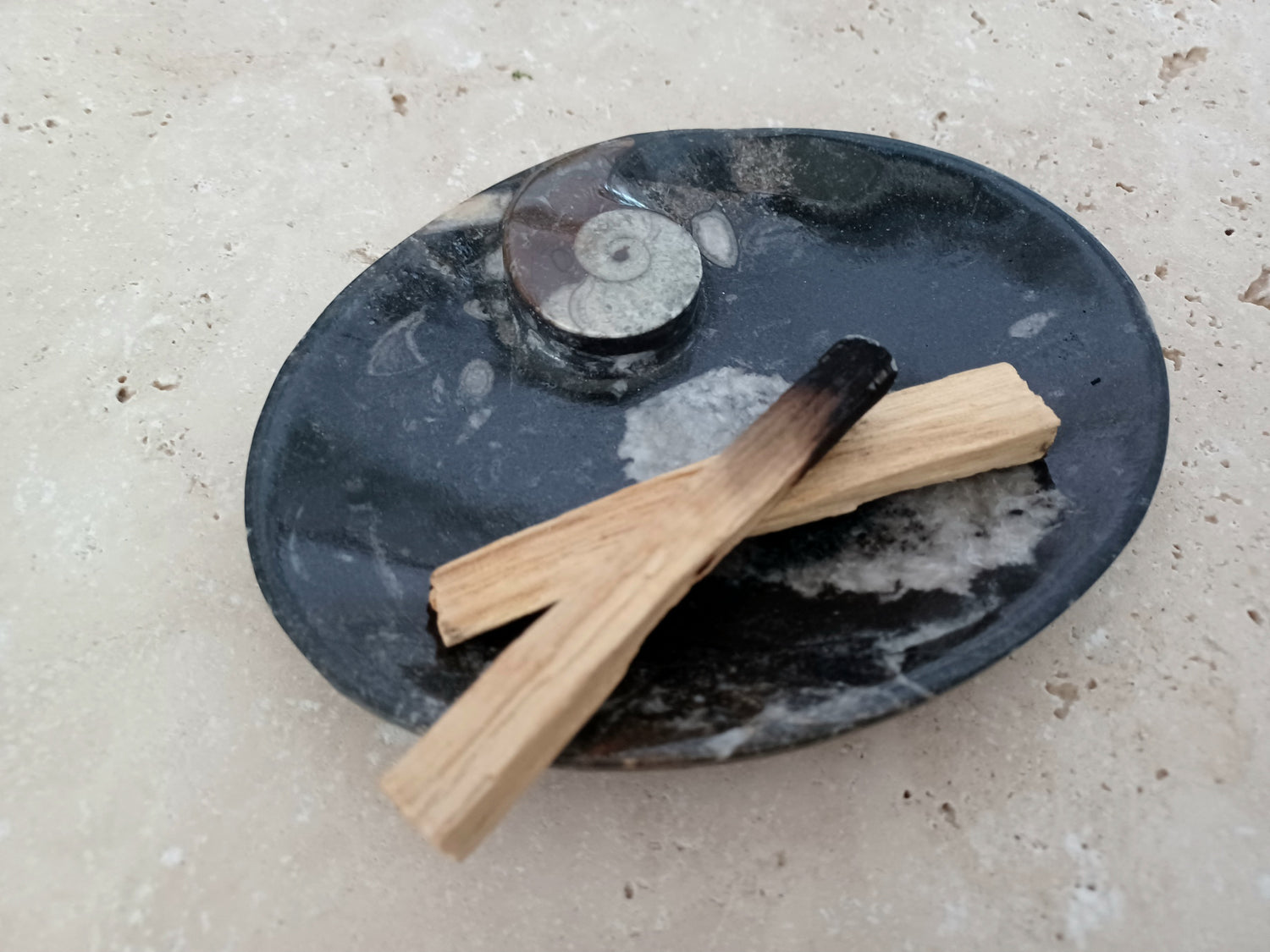 Ammonit-Schale  &quot;Erinnerung an Wandel – Symbol für Wachstum.&quot; 